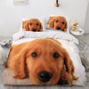 Hvidt Golden Retriever Dynebetræk